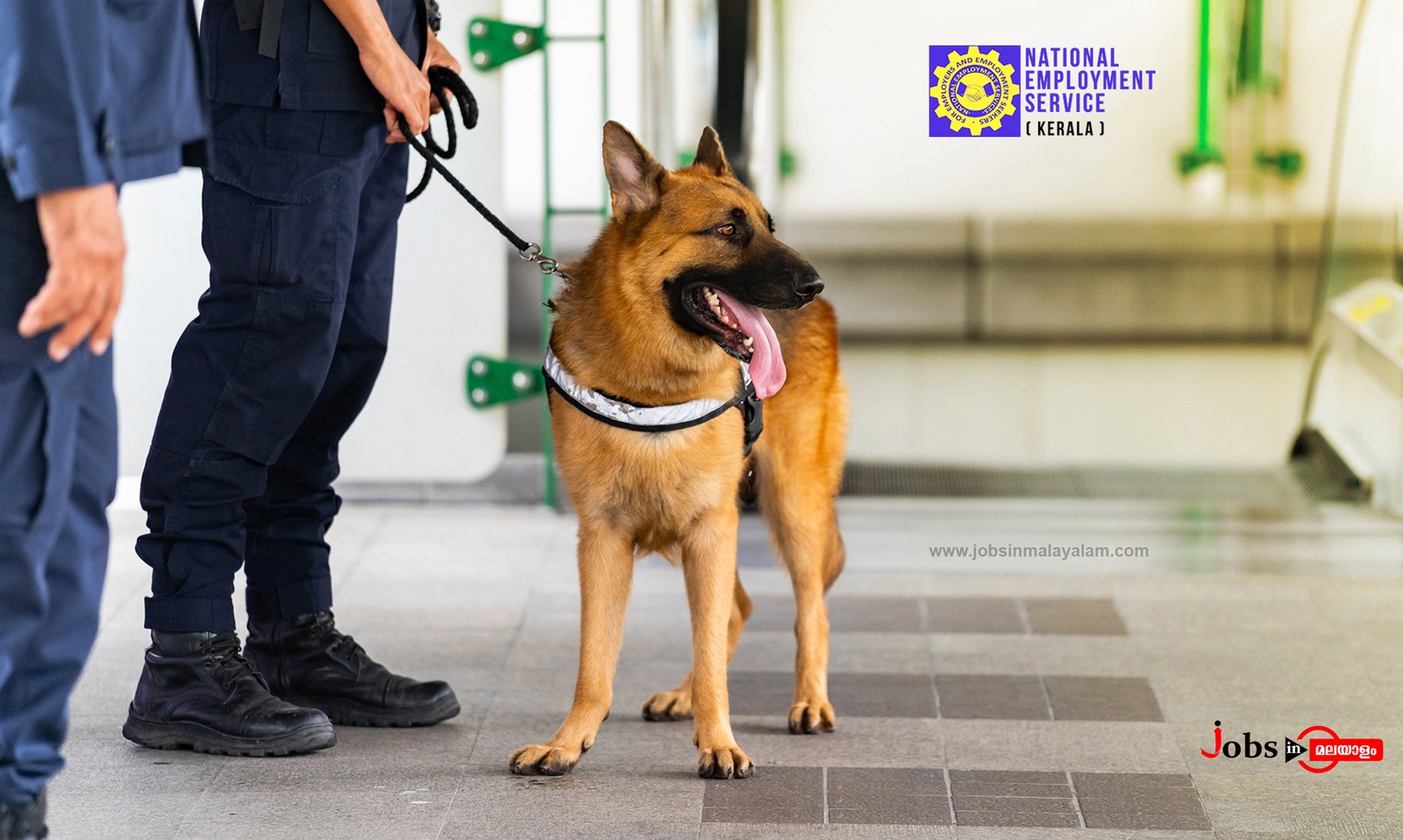 എഴുതുവാനും വായിക്കുവാനും അറിയുള്ളവർക്ക് കൊല്ലം ജില്ലയിലെ സർക്കാ