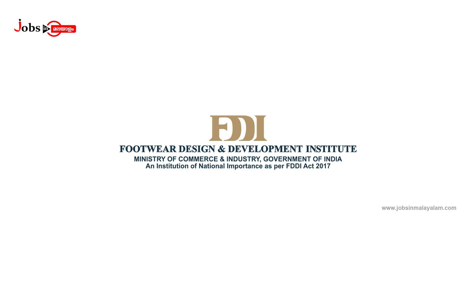 Footwear Design And Development Institute (FDDI)