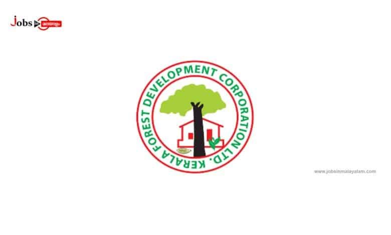 Kerala Forest Development Corporation (KFDC)