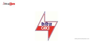 Central Electricity Authority